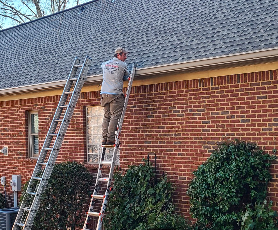Critter-Ridder technician working from a ladder along a Lexington home roofline